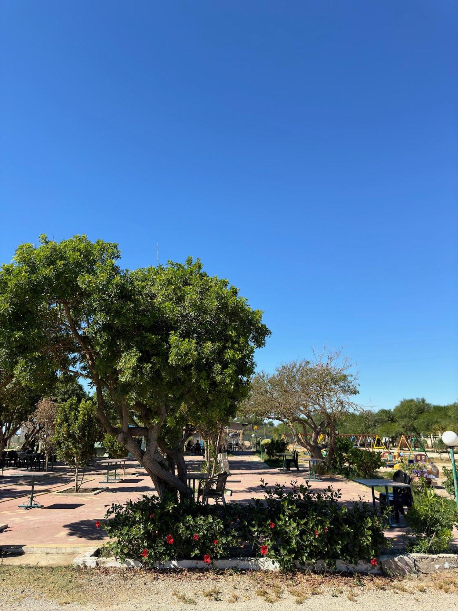Camping Nature & Mer Tahadart - Bungalows Briech Eksteriør billede